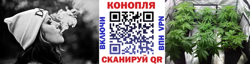 Купить закладки  Сенгилей  Шишки марихуана индика 